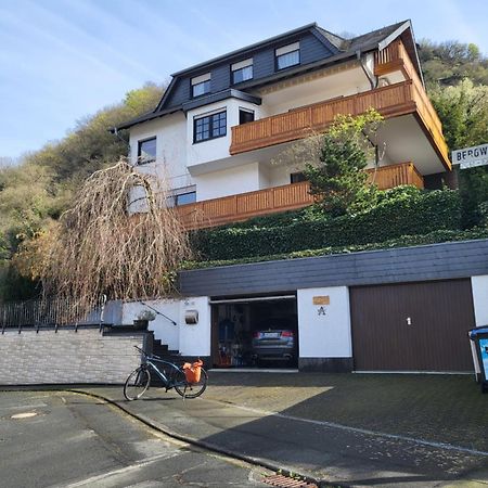 Ferienwohnung Zum Rheinblick Kestert Экстерьер фото