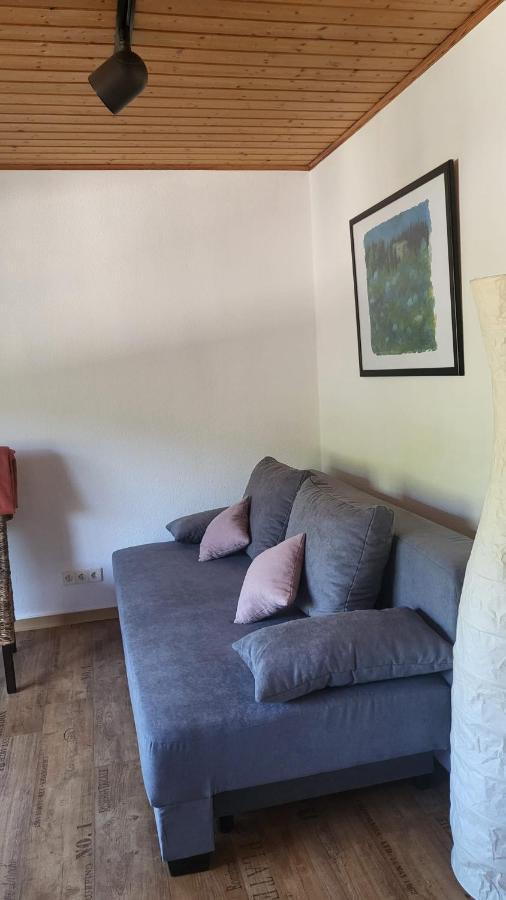 Ferienwohnung Zum Rheinblick Kestert Экстерьер фото
