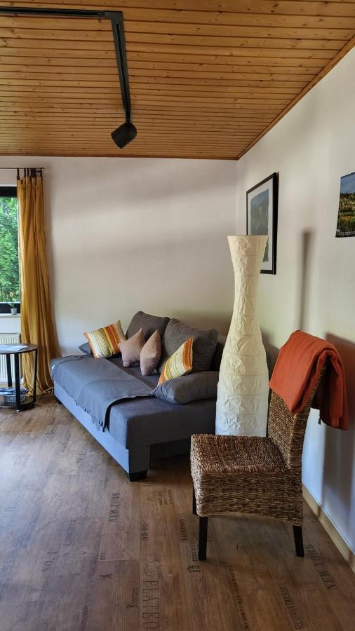 Ferienwohnung Zum Rheinblick Kestert Экстерьер фото